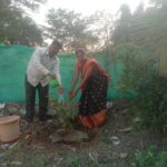 स्तुत्य उपक्रम ! गेले पंधरा वर्षे ‘एक झाड’ संकल्पना ठेवत गोलांडे आपला लग्नाचा वाढदिवस करतात साजरा