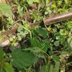 युवकांच्या सतर्कतेमुळे निंबूत येथे चोरांनी धूम स्टाईलने काढला पळ.