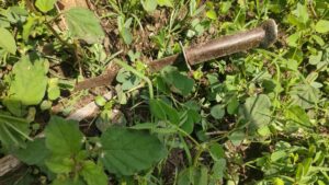 युवकांच्या सतर्कतेमुळे निंबूत येथे चोरांनी धूम स्टाईलने काढला&hellip;