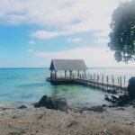 सभासदांच्या पैशाची सोमेश्वर कारखान्याच्या संचालकांची मॉरिशसमध्ये उधळपट्टी.? दिलीप आप्पा खैरे.