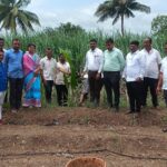 महात्मा गांधी राष्ट्रीय ग्रामीण रोजगार हमी योजनेतर्गत जिथे ऊस तिथे बांधावर नारळ या योजने अंतर्गत मौजे वानेवाडी येथे लागवडीचा शुभारंभ.
