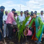 जिथे उस तिथे बांधावर नारळ लागवड’ उपक्रमाचा वाणेवाडी येथे शुभारंभ