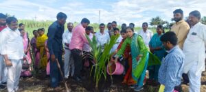 जिथे उस तिथे बांधावर नारळ लागवड’ उपक्रमाचा वाणेवाडी&hellip;