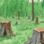 धर्म वाचवण्यासाठी आंदोलन, मग निसर्गासाठी मौन? ​— नाशिकच्या पर्यावरणाच्या नैतिकतेवर एक गंभीर प्रश्न