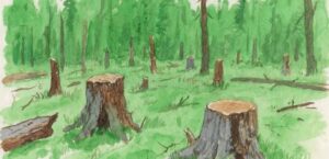 धर्म वाचवण्यासाठी आंदोलन, मग निसर्गासाठी मौन? ​— नाशिकच्या&hellip;