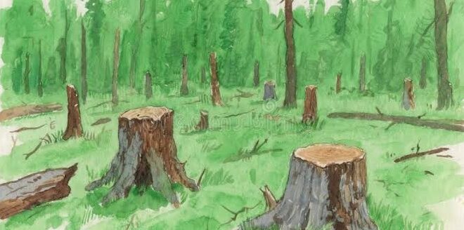 धर्म वाचवण्यासाठी आंदोलन, मग निसर्गासाठी मौन?  ​— नाशिकच्या पर्यावरणाच्या नैतिकतेवर एक गंभीर प्रश्न