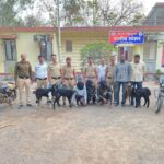 वडगाव निंबाळकर पोलीसानी शेतकऱ्यांच्या शेळ्या व बोकड चोरणाऱ्या तिन आरोपींच्या आवळल्या मुसक्या