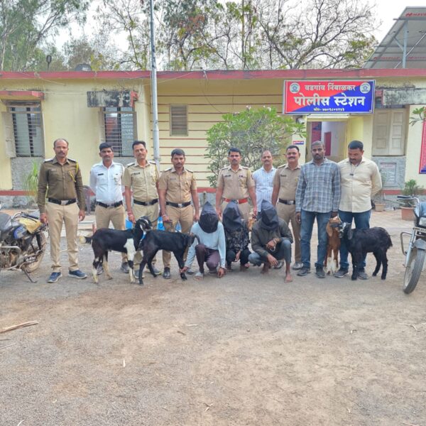 वडगाव निंबाळकर पोलीसानी शेतकऱ्यांच्या शेळ्या व बोकड चोरणाऱ्या&hellip;