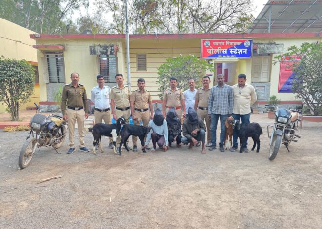 वडगाव निंबाळकर पोलीसानी शेतकऱ्यांच्या शेळ्या व बोकड चोरणाऱ्या तिन आरोपींच्या आवळल्या मुसक्या
