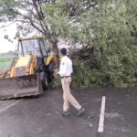 बारामती-निरा रस्त्यावरील वाहतूक कोंडी अखेर फुटणार; माळेगाव पोलिसांकडून युद्धपातळीवर झाडे हटवण्याचे काम सुरू