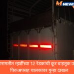 बारामतीत म्हशींच्या 12 रेडकांची क्रूर वाहतूक उघड; पिकअपसह चालकावर गुन्हा दाखल