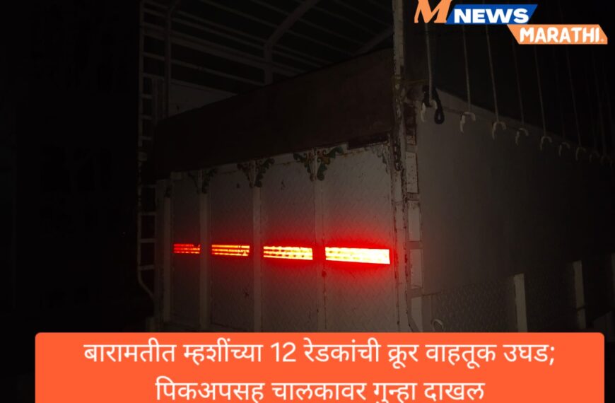 बारामतीत म्हशींच्या 12 रेडकांची क्रूर वाहतूक उघड; पिकअपसह चालकावर गुन्हा दाखल