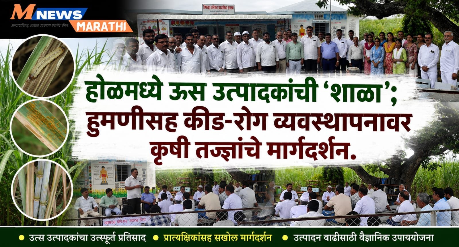 बारामती! होळमध्ये ऊस उत्पादकांची ‘शाळा’; हुमणीसह कीड-रोग व्यवस्थापनावर कृषी तज्ज्ञांचे मार्गदर्शन.
