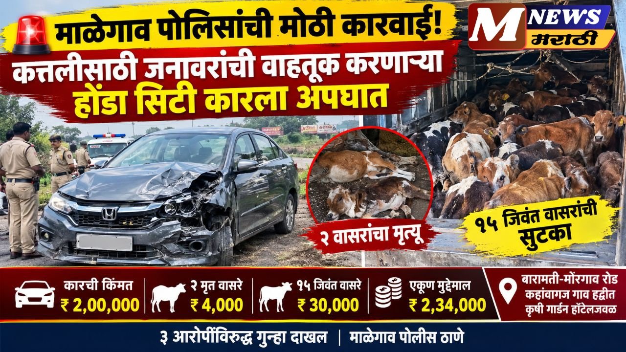 माळेगाव पोलिसांची मोठी कारवाई; कत्तलीसाठी जनावरांची वाहतूक केल्याचा आरोप !!!